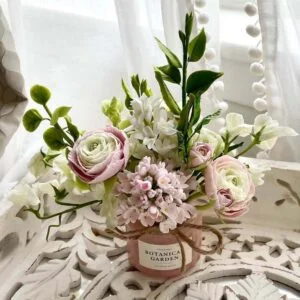 Pink Ranunculus