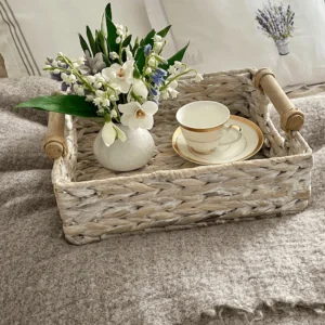 Spring Flowers
